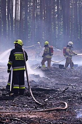 Wymysłowo - pożar w lesie. W akcji dromadery-4476