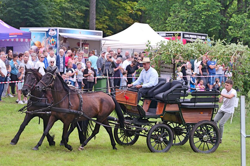 Śliwice i Piknik Koniarza 2025