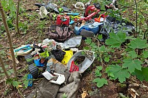 Nadleśnictwo i policja proszą o pomoc! W śmieciach odnaleziono martwego psa!-4606