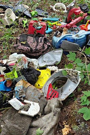 Nadleśnictwo i policja proszą o pomoc! W śmieciach odnaleziono martwego psa!-4606
