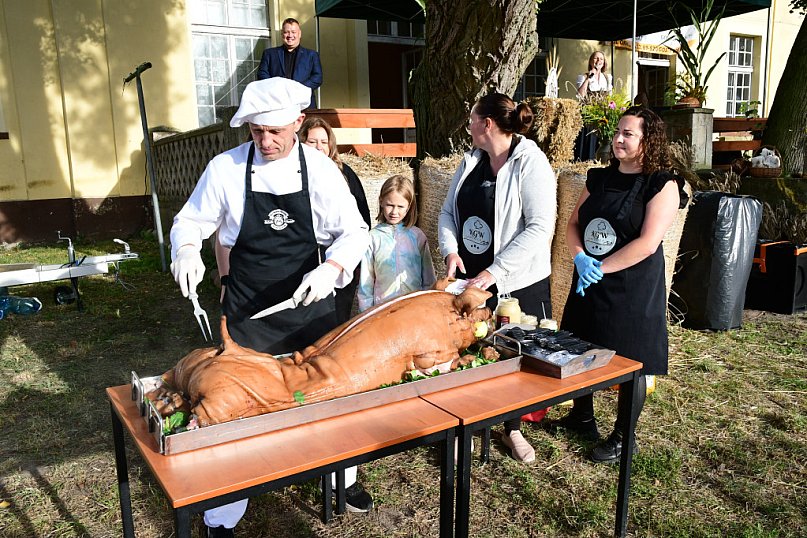 Dożynki gminy Gostycyn 2025 w Kamienicy przed pałacem