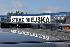 Kombinujesz z piecem? Zapuka strażnik i możesz zapłacić 5 tys. zł kary-20041