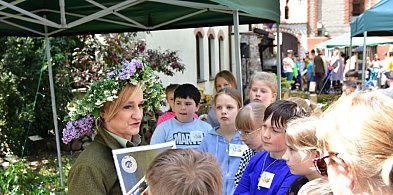 Dzień Ziemi w Tucholi. Wymień niepotrzebne ubrania na sadzonkę! / ZAPOWIEDŹ-21387