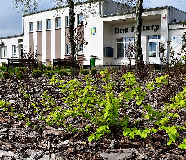 Gm. Lubiewo: Nie tylko dla moli książkowych. 70-lecie biblioteki! / ZAPOWIEDŹ-21455