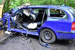 Fatalnie wyglądający wypadek. Kierujący skodą octavią uderzył w drzewo! / ZDJĘCIA-22105