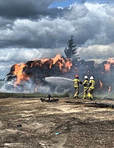 Pożar w Stobnie! Tuż przy zabudowaniach i przy silnym wietrze FOTO-22255