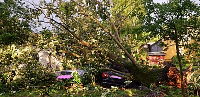 BURZA! Tuchola i powiat tucholski ze szkodami. Drzewo przewróciło się na auta-22314