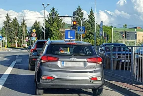 Egzamin na prawo jazdy będzie inny. Od 1 lipca nowe zasady-22319