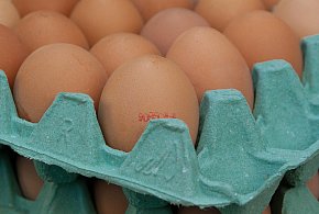 Salmonella na jajach znanej marki. Nie jedz, jeśli masz je w lodówce!-22458