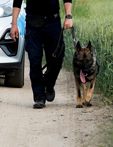 Kradzież POTEŻNEJ KWOTY pod Legbądem... 200 tysięcy złotych / POLICJA SZUKA-22459