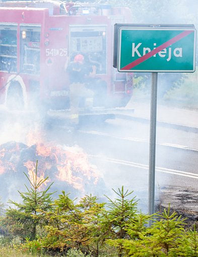 Gmina Cekcyn. Pożar w Kniei: błyskawiczna reakcja zapobiegła (...) ZDJĘCIA-22541