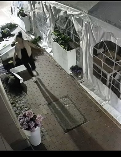 44-latka przyznała się zniszczeń przy Fiero. Właściciel restauracji nawet jej nie -22576