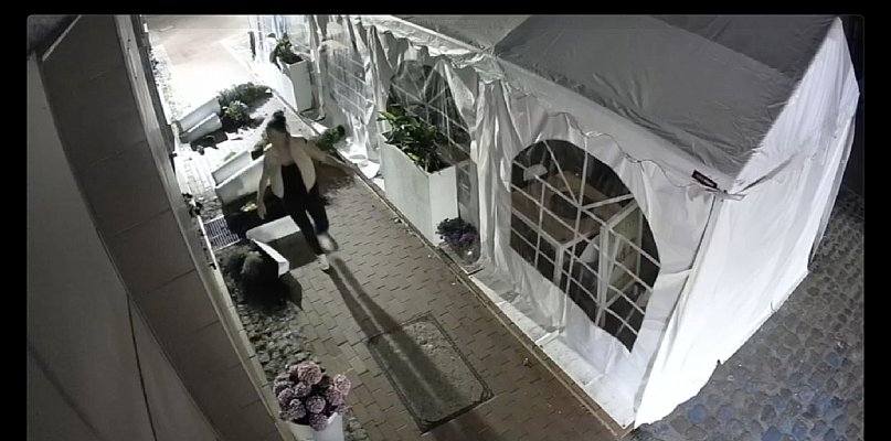 44-latka przyznała się zniszczeń przy Fiero. Właściciel restauracji nawet jej nie  - 22576