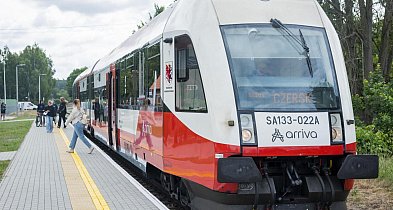 "Borsukiem" w Bory Tucholskie i do miasta Kopernika. Rozkład jazdy pociągu-22588