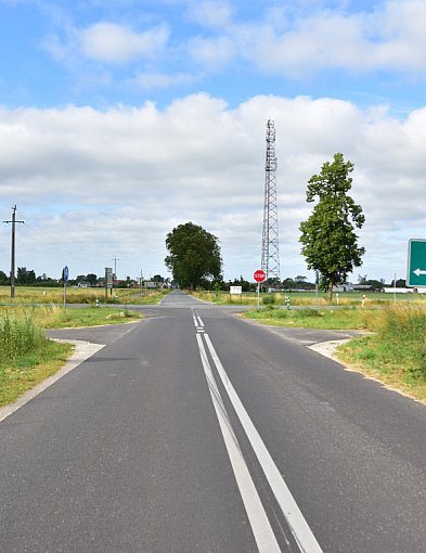 Rowerzystów nie widać zza upraw. Radna proponuje, jak poprawić ich bezpieczeństwo-22587