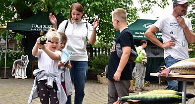 Lato w parku czyli edukacja, przyroda, rękodzieło i lokalne smaki!-22767