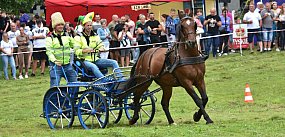 Śliwice: Piknik Koniarzy / ZAPOWIEDŹ