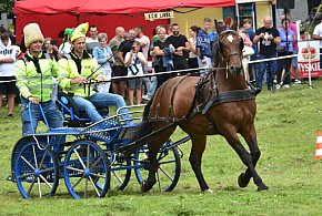 Śliwice: Piknik Koniarzy / ZAPOWIEDŹ-22937