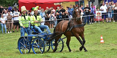Śliwice: Piknik Koniarzy / ZAPOWIEDŹ-22937