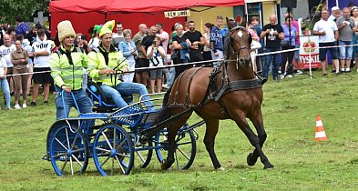 Śliwice: Piknik Koniarzy / ZAPOWIEDŹ-22937