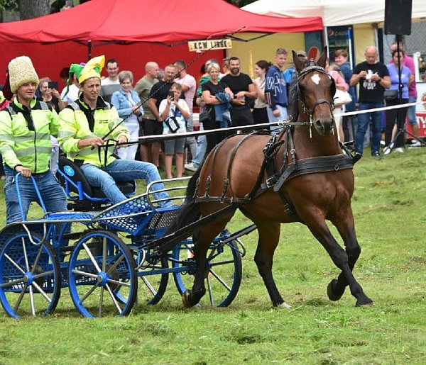 Śliwice: Piknik Koniarzy / ZAPOWIEDŹ-22937