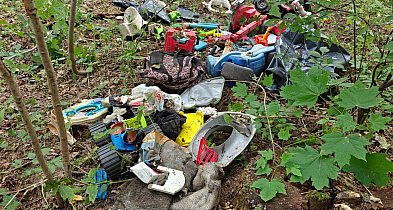 Nadleśnictwo i policja proszą o pomoc! W śmieciach odnaleziono martwego psa! / FOT-23200