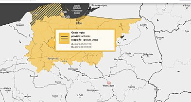 Mgła może sprawić kłopoty kierowcom. IMGW ostrzega: Tuchola, Bory Tucholskie-23344