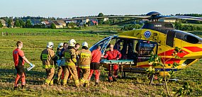 Chwile grozy! Gdyby nie błyskawiczna reakcja. Użądlenie