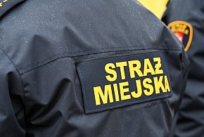 Zapuka strażnik, zapłacisz karę. Ruszyły kontrole w całej Polsce-24085