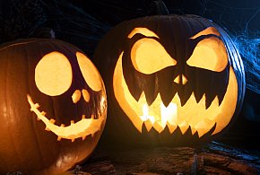 Kino Sokół. Maraton horrorów! 3 filmy. Przed maratonem "Koszmarek" dla młodszych-24290