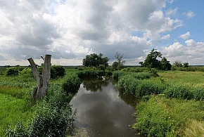 Co dalej z nowym parkiem narodowym? Minister klimatu zdradza plan po wecie-24542