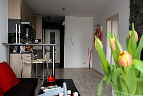 Rewolucja w wynajmie na doby. Nadchodzi koniec "wolnej amerykanki"-25027