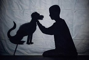 Gostycyn: Teatr cieni / ZAPOWIEDŹ