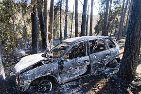 Doszczętnie spalone auto w lesie w okolicach Woziwody. Akcja gaśnicza strażaków