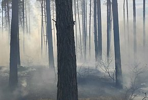 Pożar lasu widziany z naszego terenu, na granicy powiatów tucholskiego, świeckiego