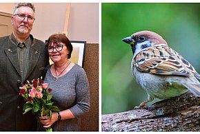 Wystawa fotografii Marka Gromka: Sztuka inspirowana naturą / ZAPOWIEDŹ
