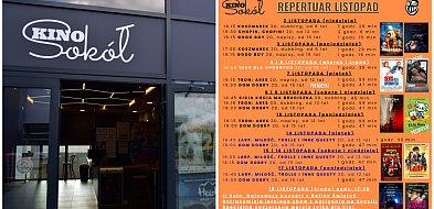 Repertuar na listopad. Co szykuje Kino Sokół w Tucholi?-24293