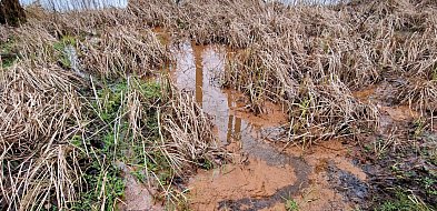 Minikowo, kontynuujemy temat. Kto może zlecić badania jakości wody w jeziorze?-25284