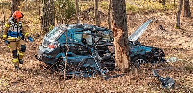 Tuchola - Świecie. Kierowca wypadł oplem z drogi. Zabrany do szpitala / ZDJĘCIA