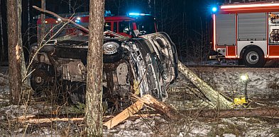 Kierowca z... dwoma zakazami. NOWE INFORMACJE o zdarzeniu koło Lubiewic / FOT