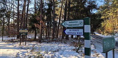 Przed Nadleśnictwem Zamrzenica ogrom pracy. Powstanie park, rozbudują ośrodek...