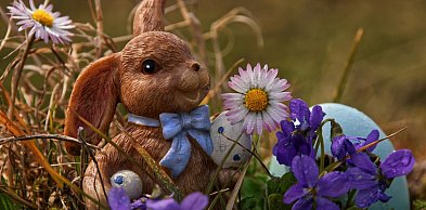 Gostycyńskie „Ale jaja!” / ZAPOWIEDŹ