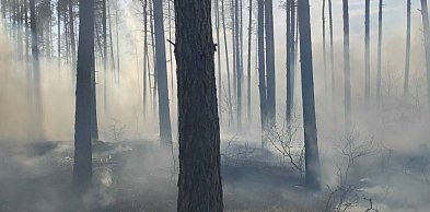 Pożar lasu widziany z naszego terenu, na granicy powiatów tucholskiego, świeckiego