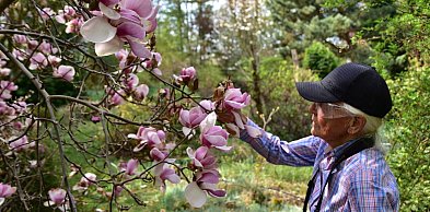 Arboretum tworzone sercem. Historia ogrodu Janiny Grzmiel z Bladowa