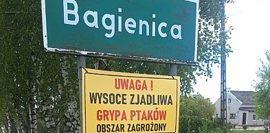 Część gminy Gostycyn w strefie zagrożonej rzekomym pomorem drobiu