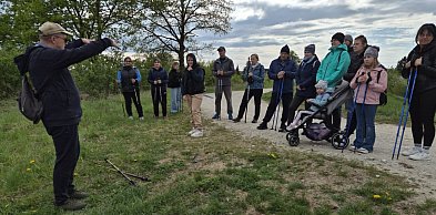 Ponad 30 osób na spacerze nordic walking po Krajnie