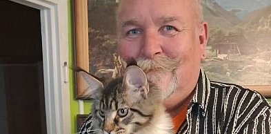 Catio, czyli woliera dla kociej arystokracji. Jak i gdzie ją stworzyć?