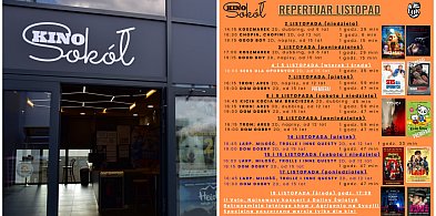 Repertuar na listopad. Co szykuje Kino Sokół w Tucholi?-24293