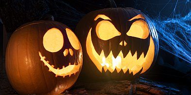 Kino Sokół. Maraton horrorów! 3 filmy. Przed maratonem "Koszmarek" dla młodszych-24290