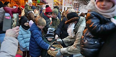 Dwa dni na rynku w Tucholi. W weekend jarmark borowiacki! SZCZEGÓŁY – ZAPOWIEDŹ-25110